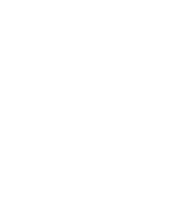 Levy Recognitionlogo