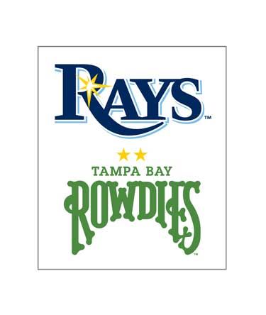 Tampa Bay Rowdies logo